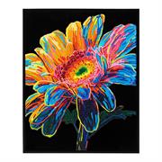 DIAMOND DOTZ - Neon Gerbera - 35.5 x 45.7cm