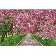 DIAMOND DOTZ - Simply Dotz  Springtime Meander - 47 x 72cm