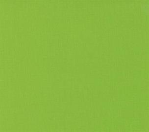 Moda - Bella Solids - Sprout 9900 267 Moda No.1