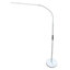 Horn Alina Long Bright LED Floor Lamp